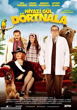 尼亚孜.古尔历险记免费观看